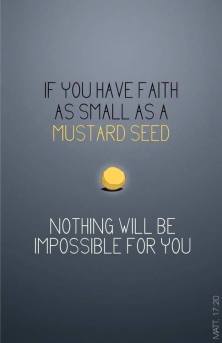 11141172_10153165086870502_3955407104832353909_n